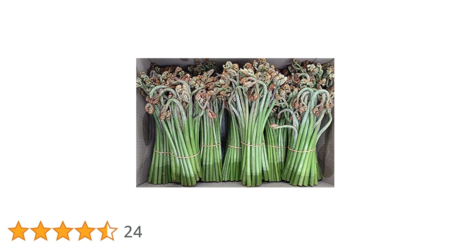 天然わらび 収穫当日発送　予約販売　この商品は購入しないで下さい Amazon.co.jp: 国産 採れたて 天然 生わらび 約250g×4束 蕨 冷蔵